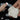 clay bar