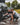 Nathan training how to decontaminate a car